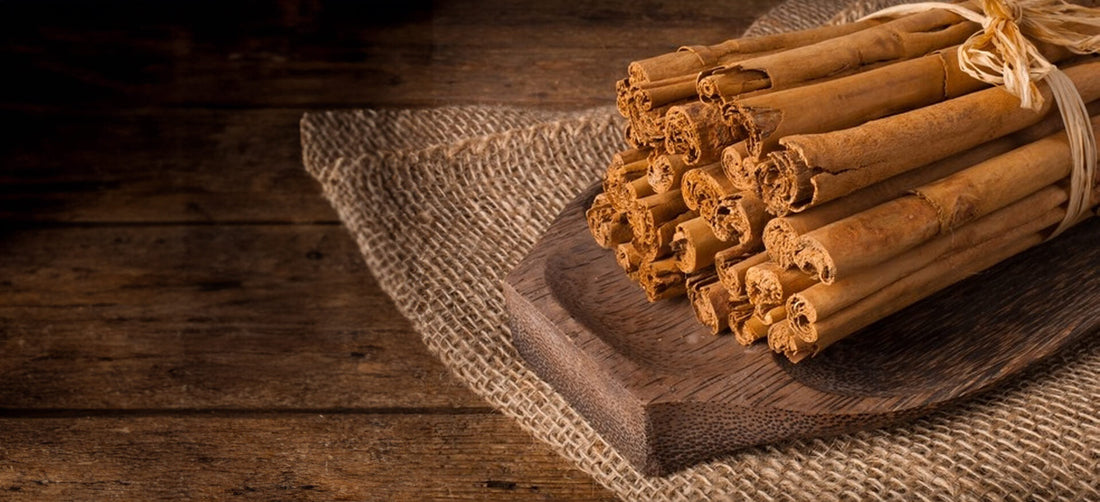 Cynamon Cejloński – prawdziwa królowa wśród przypraw korzennych